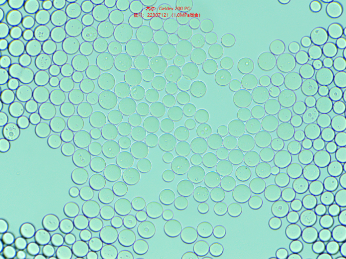 ΢ͼƬ_20250711161701.png